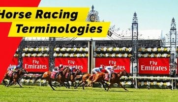 Beginner’s Guide to Horse Racing: Horse Racing Terminology